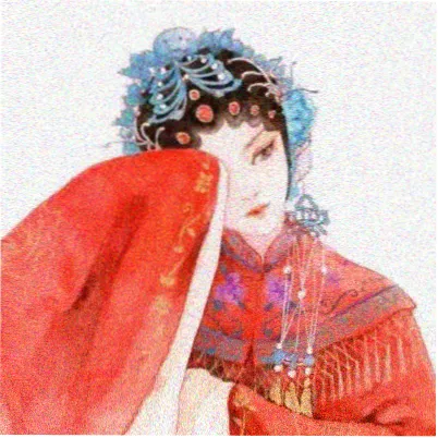 观众阿禾的头像